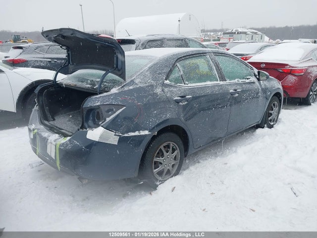 2T1BURHE0GC520636 Toyota Corolla L/le/le Pls/prm/s/s Pls