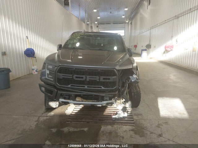Aukcja sprzedaży 2019 Ford F150 Raptor, vin: 1FTFW1RG7KFD15439, numer aukcji: 12509568