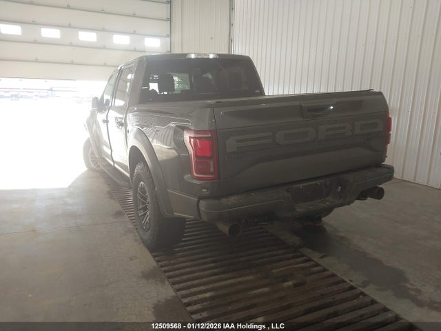Aukcja sprzedaży 2019 Ford F150 Raptor, vin: 1FTFW1RG7KFD15439, numer aukcji: 12509568