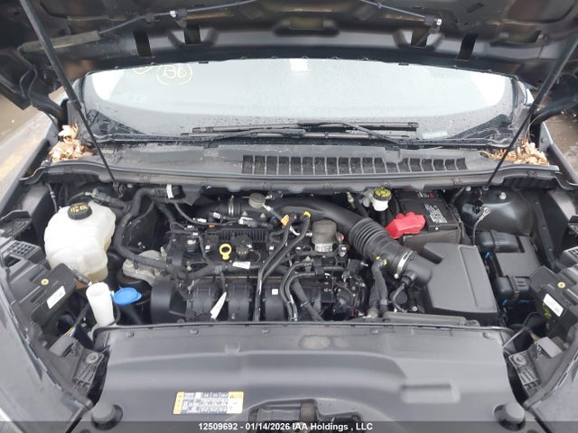 2FMPK4J98KBC53559 Ford EDGE SEL