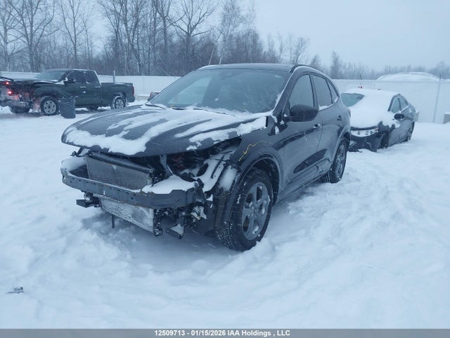 12509713 :رقم المزاد ، 1FMCU9MN0RUA61815 vin ، 2024 Ford Escape St-line مزاد بيع