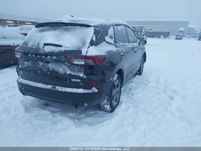 12509713 :رقم المزاد ، 1FMCU9MN0RUA61815 vin ، 2024 Ford Escape St-line مزاد بيع