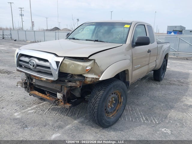 2006 Toyota Tacoma Prerunner Access Cab მანქანა იყიდება აუქციონზე, vin: 5TETU62N36Z312089, აუქციონის ნომერი: 12509719