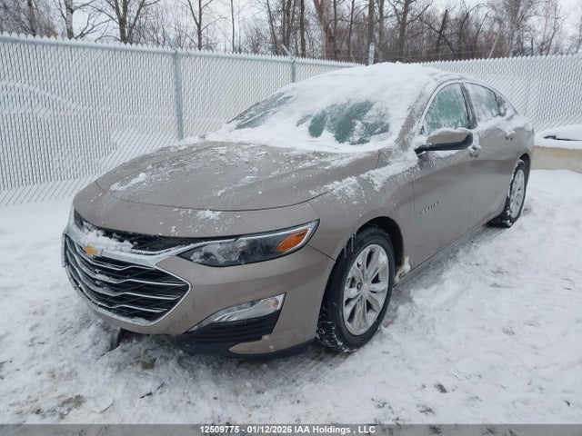 1G1ZD5ST7PF251193 Chevrolet MALIBU LT