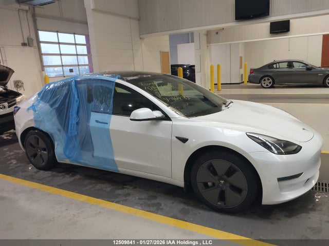 Продажа на аукционе авто 2023 Tesla Model 3, vin: 5YJ3E1EA5PF464483, номер лота: 12509841