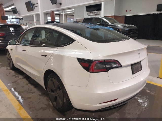 Продажа на аукционе авто 2023 Tesla Model 3, vin: 5YJ3E1EA5PF464483, номер лота: 12509841