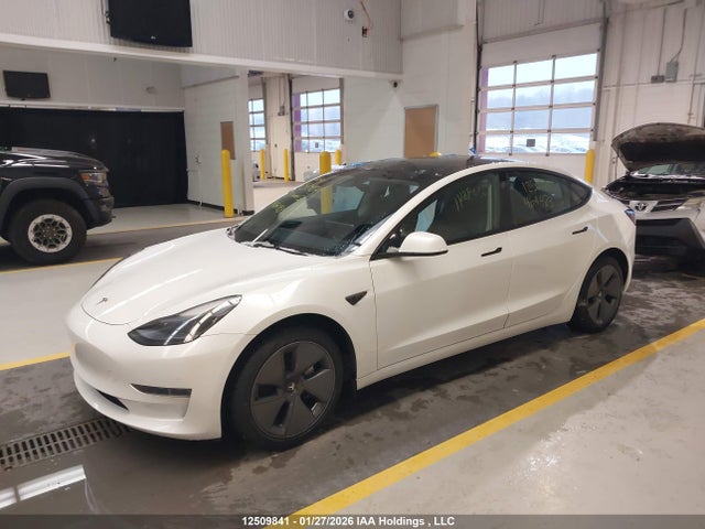 Продажа на аукционе авто 2023 Tesla Model 3, vin: 5YJ3E1EA5PF464483, номер лота: 12509841