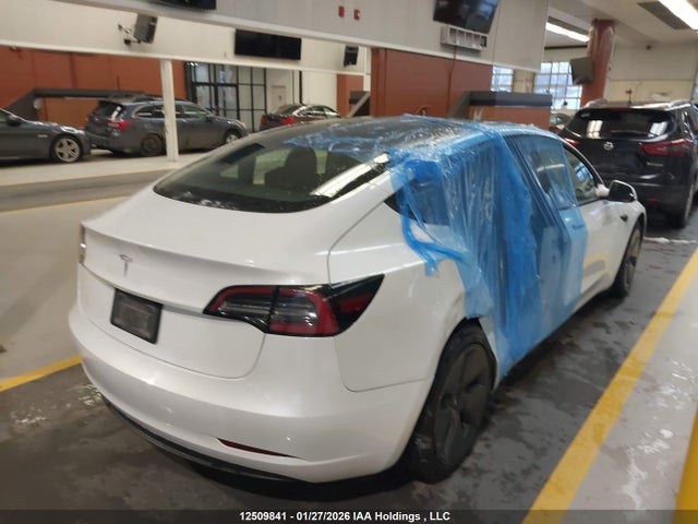 Продажа на аукционе авто 2023 Tesla Model 3, vin: 5YJ3E1EA5PF464483, номер лота: 12509841
