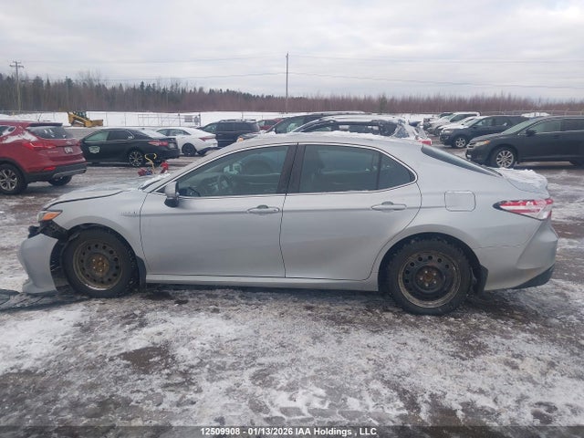4T1B31HK9JU503821 Toyota Camry Hybrid Le