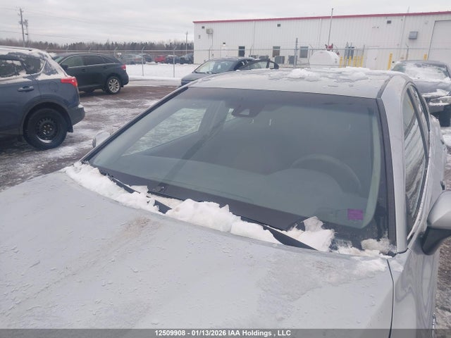 4T1B31HK9JU503821 Toyota Camry Hybrid Le