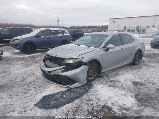 4T1B31HK9JU503821 Toyota Camry Hybrid Le