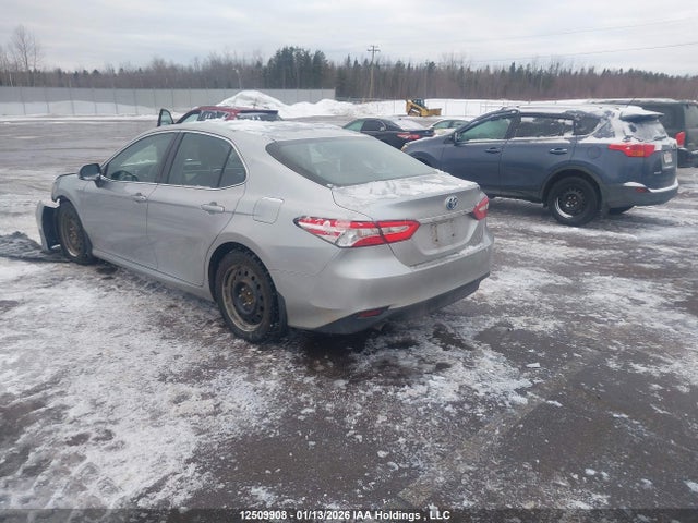 4T1B31HK9JU503821 Toyota Camry Hybrid Le