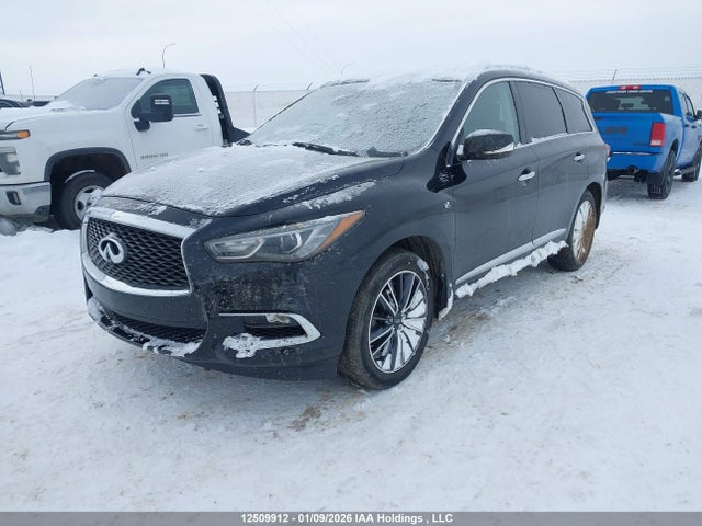 5N1DL0MM2KC564767 Infiniti Qx60 Luxe/pure