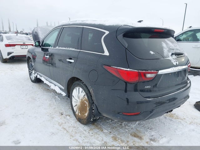 5N1DL0MM2KC564767 Infiniti Qx60 Luxe/pure