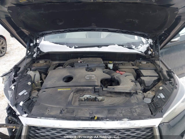 3PCAJ5M34KF142567 Infiniti Qx50 Autograph/essential/luxe/proactive/sensory