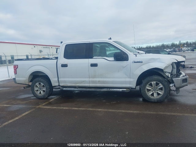 Ford F-150 Xlt 2019 1FTEW1E54KKD40435 Image 12