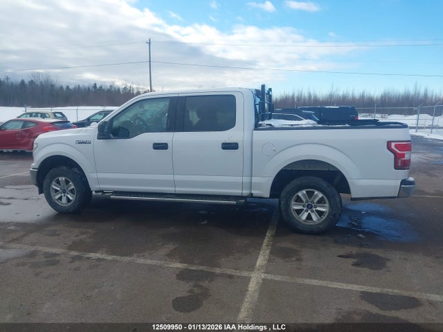 Ford F-150 Xlt 2019 1FTEW1E54KKD40435 Image 13