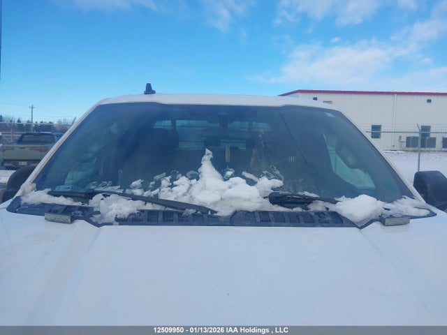 Ford F-150 Xlt 2019 1FTEW1E54KKD40435 Image 16