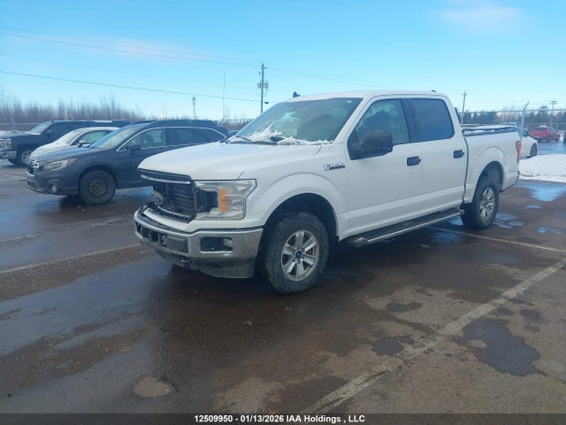 Ford F-150 Xlt 2019 1FTEW1E54KKD40435 Image 2