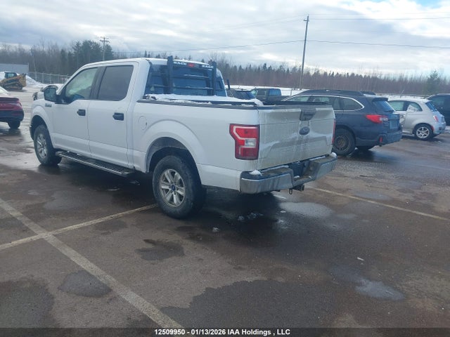 Ford F-150 Xlt 2019 1FTEW1E54KKD40435 Image 3