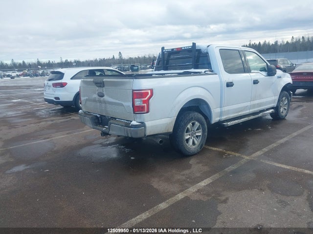 Ford F-150 Xlt 2019 1FTEW1E54KKD40435 Image 4