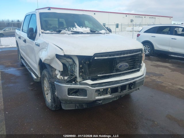 Ford F-150 Xlt 2019 1FTEW1E54KKD40435 Image 6