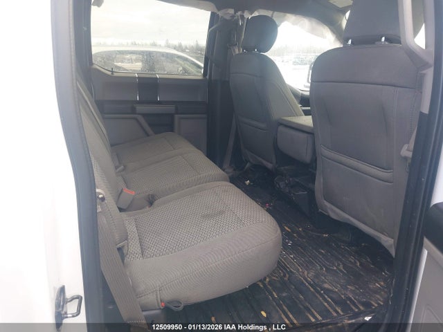Ford F-150 Xlt 2019 1FTEW1E54KKD40435 Image 8