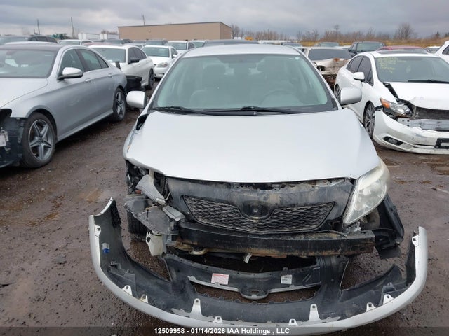 2009 Toyota Corolla Ce მანქანა იყიდება აუქციონზე, vin: 2T1BU40E89C184686, აუქციონის ნომერი: 12509958