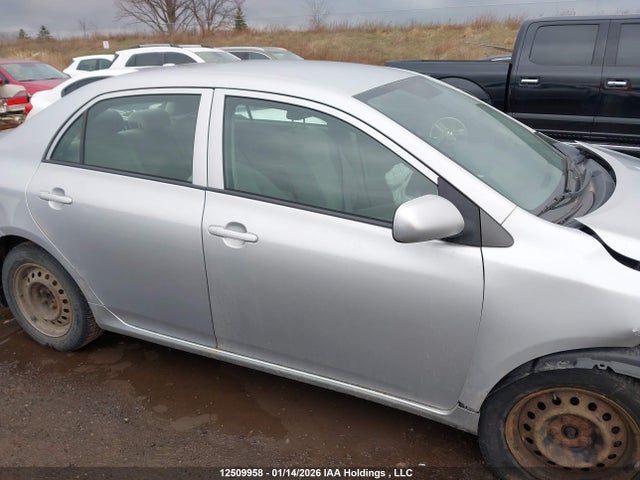 2009 Toyota Corolla Ce მანქანა იყიდება აუქციონზე, vin: 2T1BU40E89C184686, აუქციონის ნომერი: 12509958