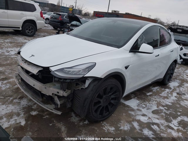 5YJYGDEE6MF078784 Tesla Model Y Long Range