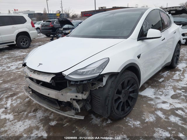 5YJYGDEE6MF078784 Tesla Model Y Long Range