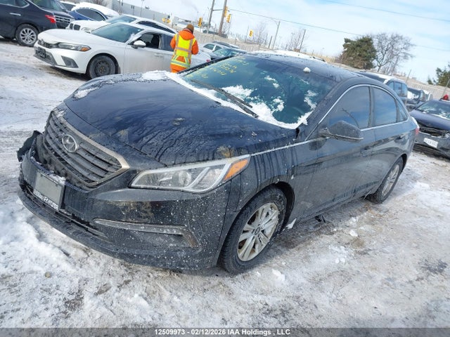 5NPE24AF4HH528276 Hyundai Sonata