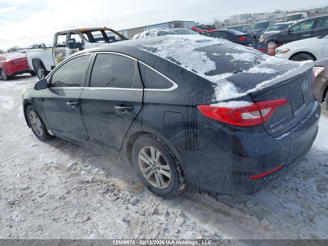 5NPE24AF4HH528276 Hyundai Sonata
