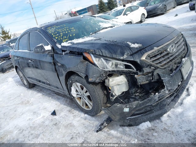 5NPE24AF4HH528276 Hyundai Sonata