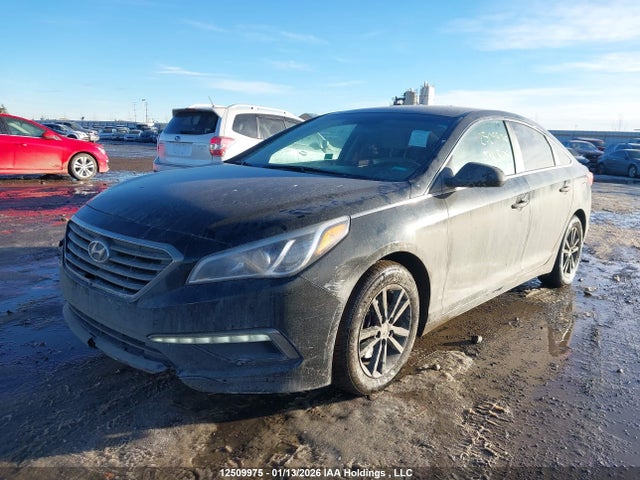 5NPE24AF6FH044817 Hyundai SONATA GL