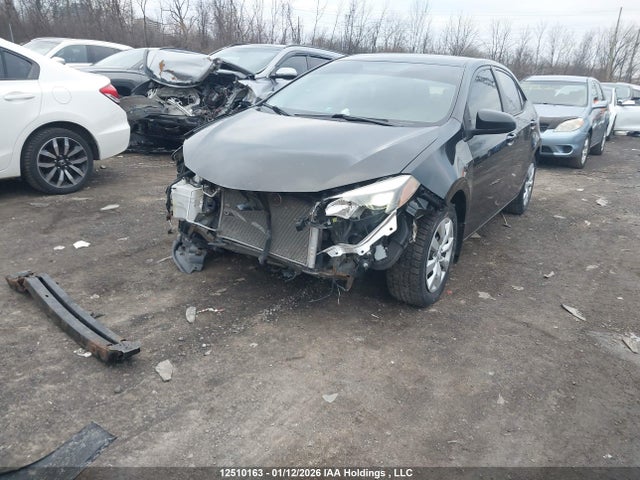 Toyota COROLLA CE/LE/S 2016 2T1BURHEXGC559573 Image 2