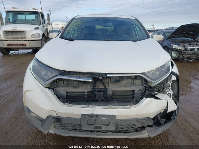 2HKRW2H86KH138823 Honda Cr-v Ex-l