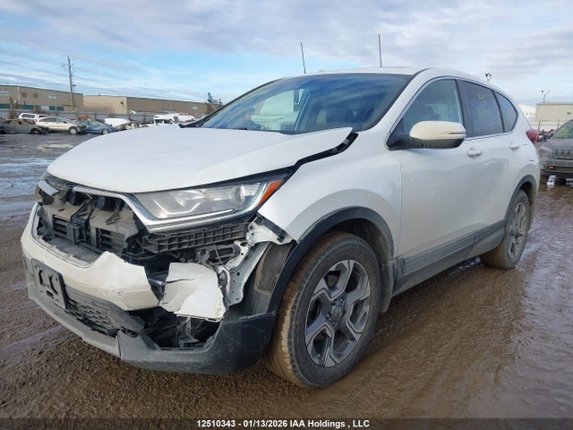 2HKRW2H86KH138823 Honda Cr-v Ex-l