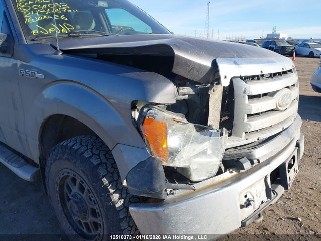 12510373 :رقم المزاد ، 1FTEW1E82AFC41033 vin ، 2010 Ford F-150 Xlt مزاد بيع