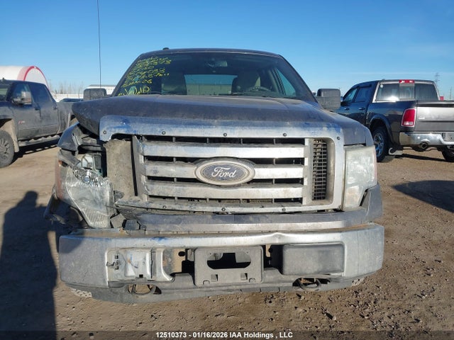 12510373 :رقم المزاد ، 1FTEW1E82AFC41033 vin ، 2010 Ford F-150 Xlt مزاد بيع