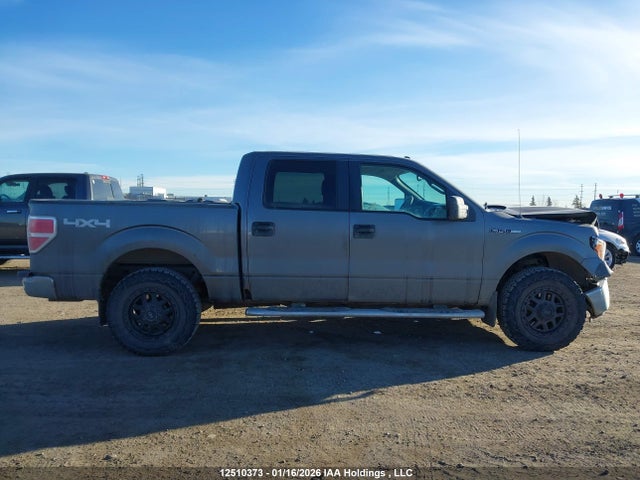 12510373 :رقم المزاد ، 1FTEW1E82AFC41033 vin ، 2010 Ford F-150 Xlt مزاد بيع