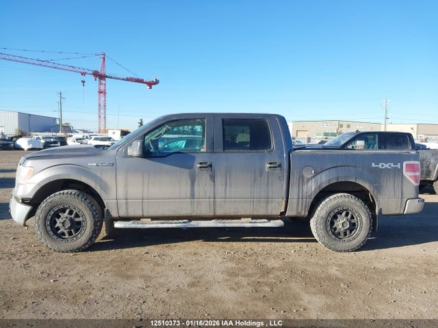 12510373 :رقم المزاد ، 1FTEW1E82AFC41033 vin ، 2010 Ford F-150 Xlt مزاد بيع