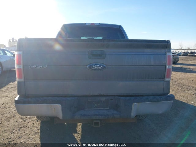 12510373 :رقم المزاد ، 1FTEW1E82AFC41033 vin ، 2010 Ford F-150 Xlt مزاد بيع