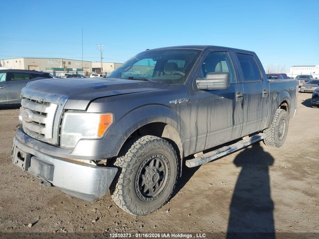 12510373 :رقم المزاد ، 1FTEW1E82AFC41033 vin ، 2010 Ford F-150 Xlt مزاد بيع
