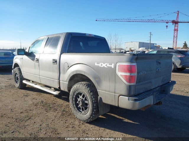 12510373 :رقم المزاد ، 1FTEW1E82AFC41033 vin ، 2010 Ford F-150 Xlt مزاد بيع