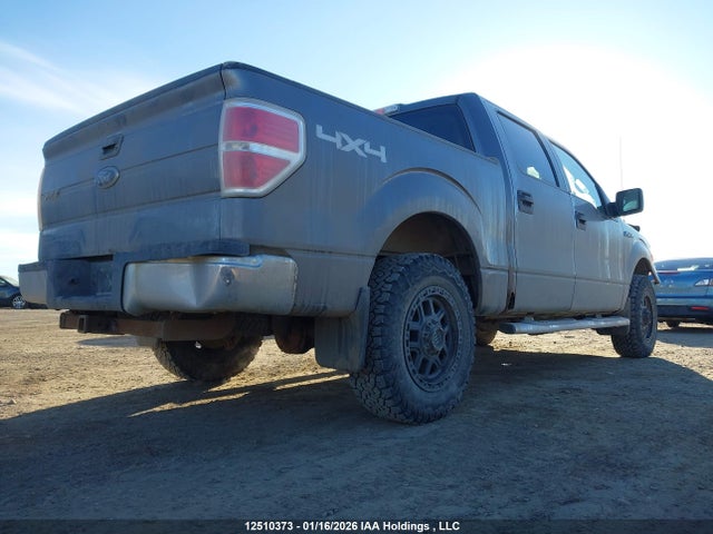 12510373 :رقم المزاد ، 1FTEW1E82AFC41033 vin ، 2010 Ford F-150 Xlt مزاد بيع