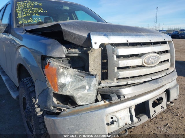 12510373 :رقم المزاد ، 1FTEW1E82AFC41033 vin ، 2010 Ford F-150 Xlt مزاد بيع