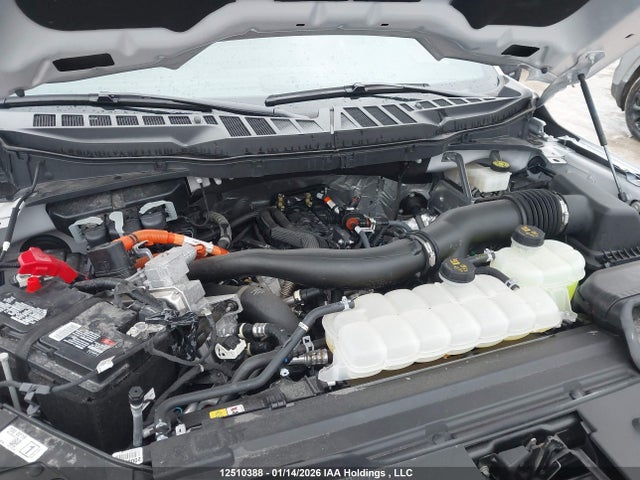 Ford F150 Xlt 2024 1FTFW3LD8RFB51526 Image 10