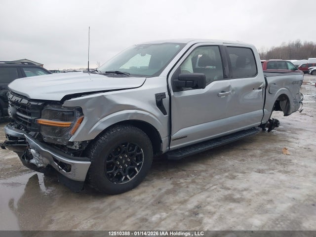 Ford F150 Xlt 2024 1FTFW3LD8RFB51526 Image 2