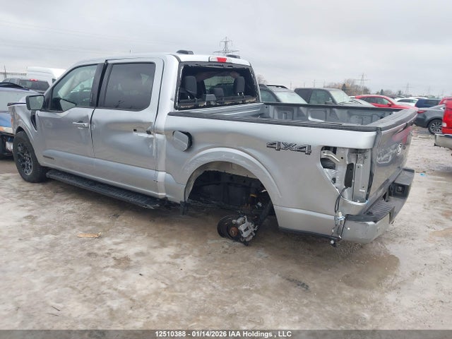 Ford F150 Xlt 2024 1FTFW3LD8RFB51526 Image 3